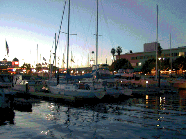 marina picture